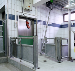 Tötebox Schwein mit Entblutekettenzug