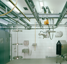 Schlachtgasse für Schwein